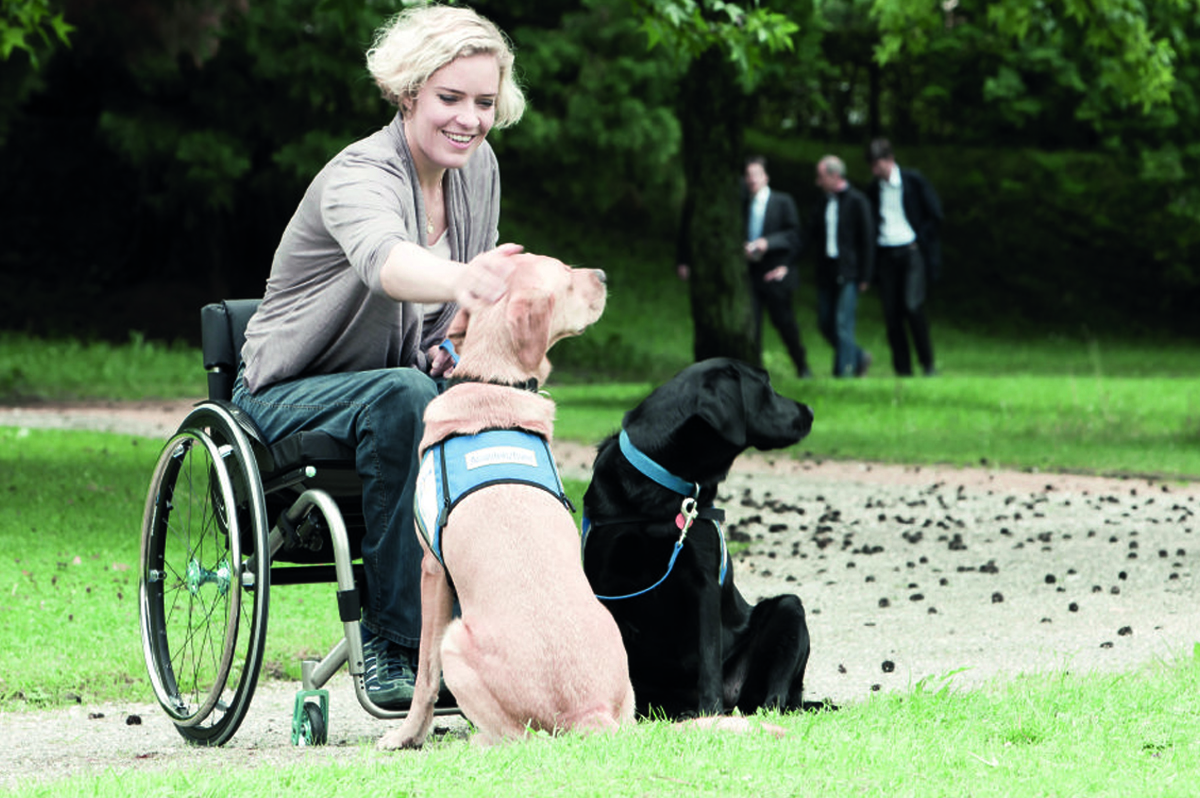 disabilità - cani - aiuto